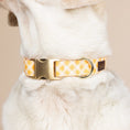 Load image into Gallery viewer, Daisy Dog Collar
