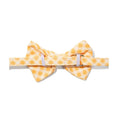Load image into Gallery viewer, Daisy Dog Bow Tie
