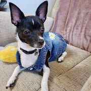 Daisy Denim Dog Jacket