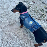 Daisy Denim Dog Jacket