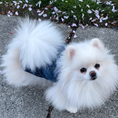 Load image into Gallery viewer, Daisy Denim Dog Jacket - Southlake Paws
