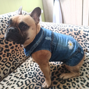 Daisy Denim Dog Jacket