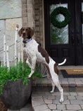 Load image into Gallery viewer, Daisy Dog Collar
