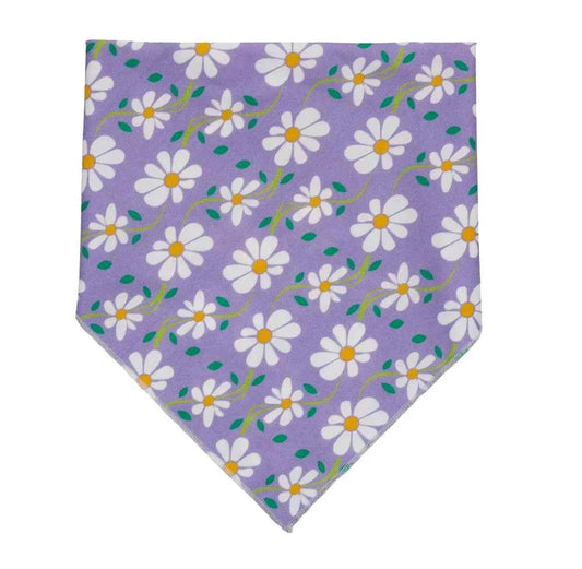 Up Country Daisy Pet Bandana Made in USA Pet Accessory