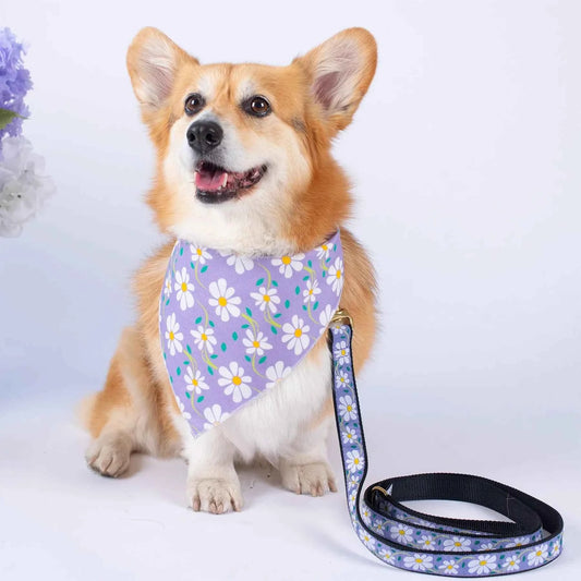 Up Country Daisy Pet Bandana Made in USA Pet Accessory