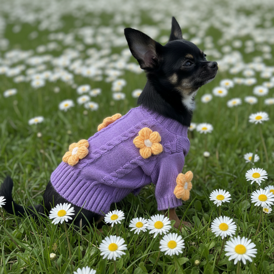 Yellow Daisy Purple Dog Sweater - Southlake Paws