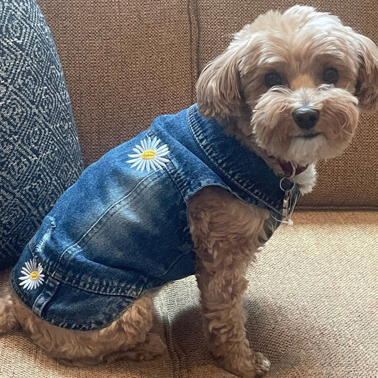 Daisy Denim Dog Jacket - Southlake Paws