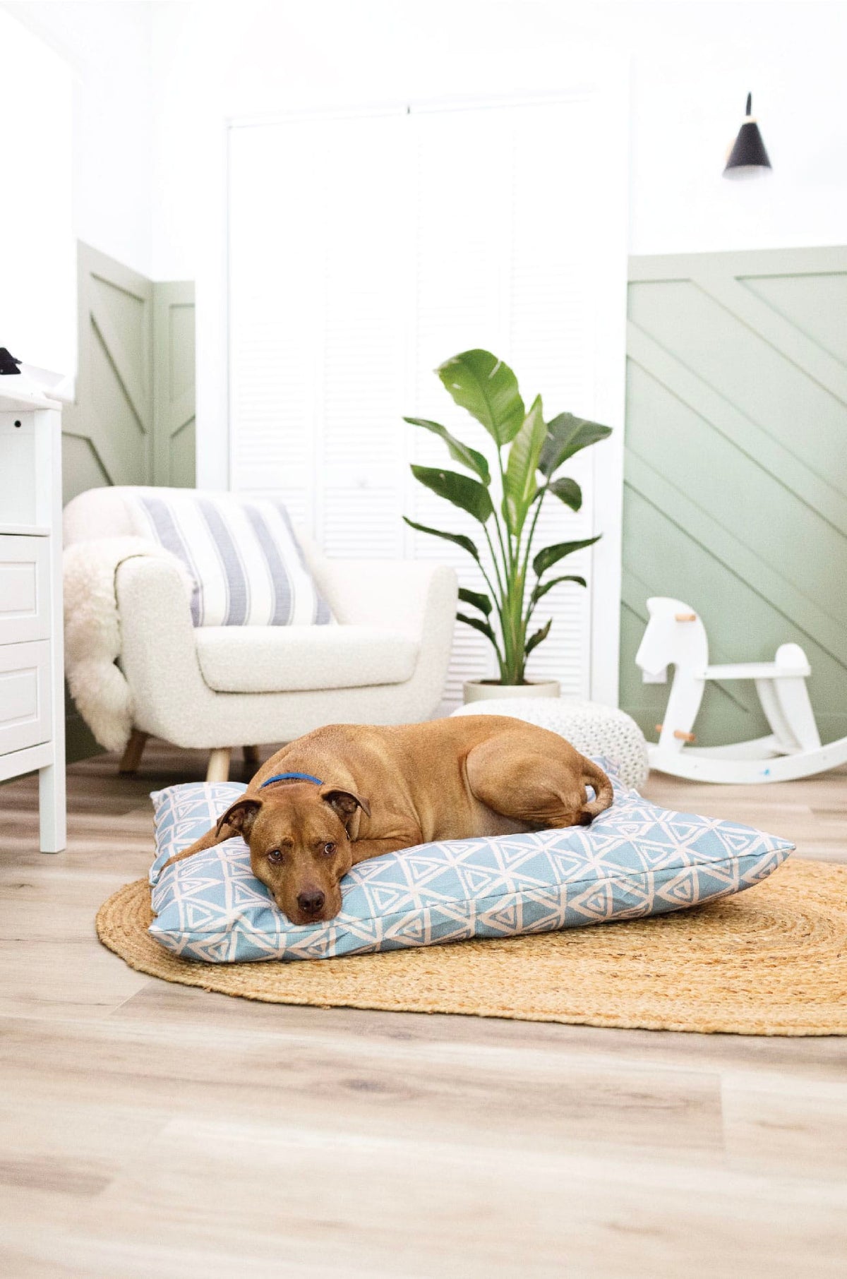 Davina Dog Bed