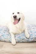 Load image into Gallery viewer, Davina Dog Bed
