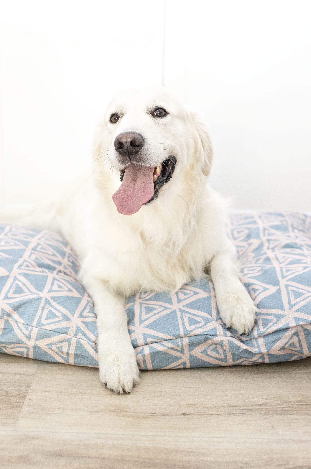 Davina Dog Bed