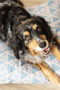 Load image into Gallery viewer, Davina Dog Bed
