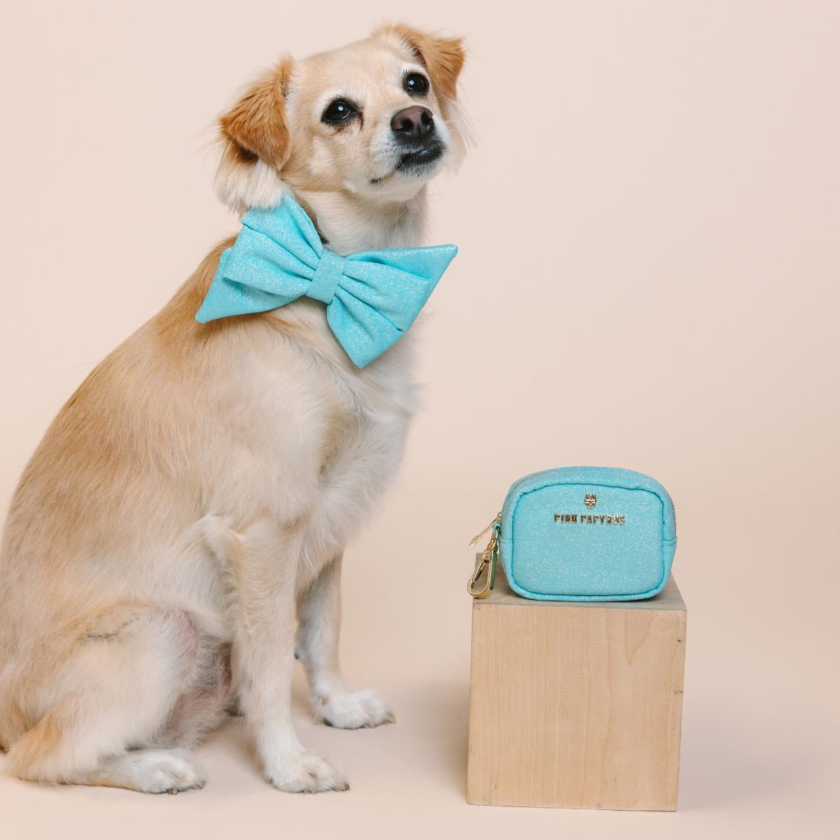 Dawson Waste Bag Holder & Treat Pouch