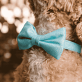 Load image into Gallery viewer, Dawson Dog Bow Tie

