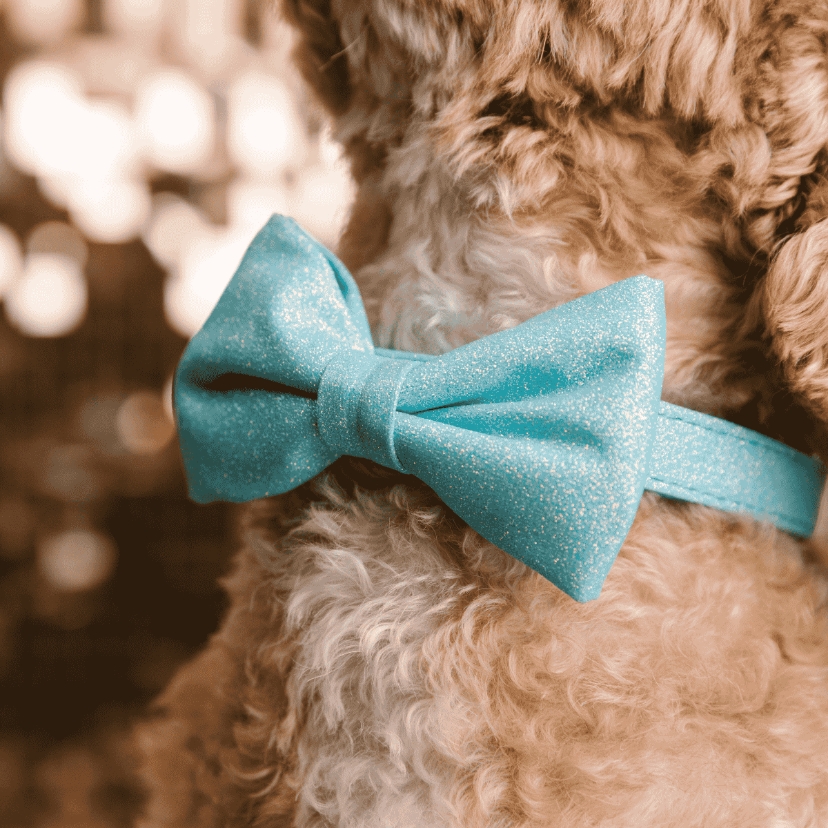 Dawson Dog Bow Tie