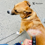 De-Shedding Dog Brush for Long Hair (>1