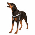Load image into Gallery viewer, Silver Freedom No-Pull Dog Harness
