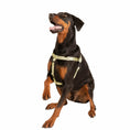 Load image into Gallery viewer, Tan Freedom No-Pull Dog Harness
