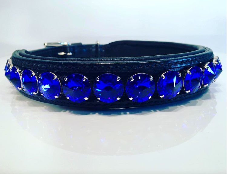 Delight Dog Collar #3