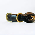Load image into Gallery viewer, Delight Dog Collar #4
