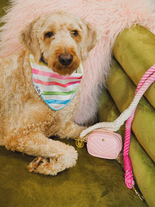 Delilah Dog Bandana