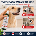 Load image into Gallery viewer, Southlake Paws Doggy Dental Spray & Water Additive, featuring a dog and instructions for use on teeth and in water.
