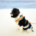 Load image into Gallery viewer, Desert Dream Harness - Southlake Paws
