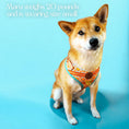 Load image into Gallery viewer, Desert Dream Harness - Southlake Paws
