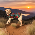 Load image into Gallery viewer, Desert Rose Blanket Dog Coat
