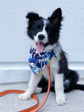 Load image into Gallery viewer, Destin Dog Bandana
