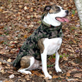 Load image into Gallery viewer, Camo Diamond Quilted Coat
