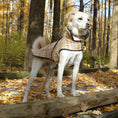 Load image into Gallery viewer, Plaid Diamond Quilted Coat
