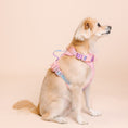 Load image into Gallery viewer, Diem Dog Harness
