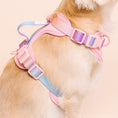 Load image into Gallery viewer, Diem Dog Harness
