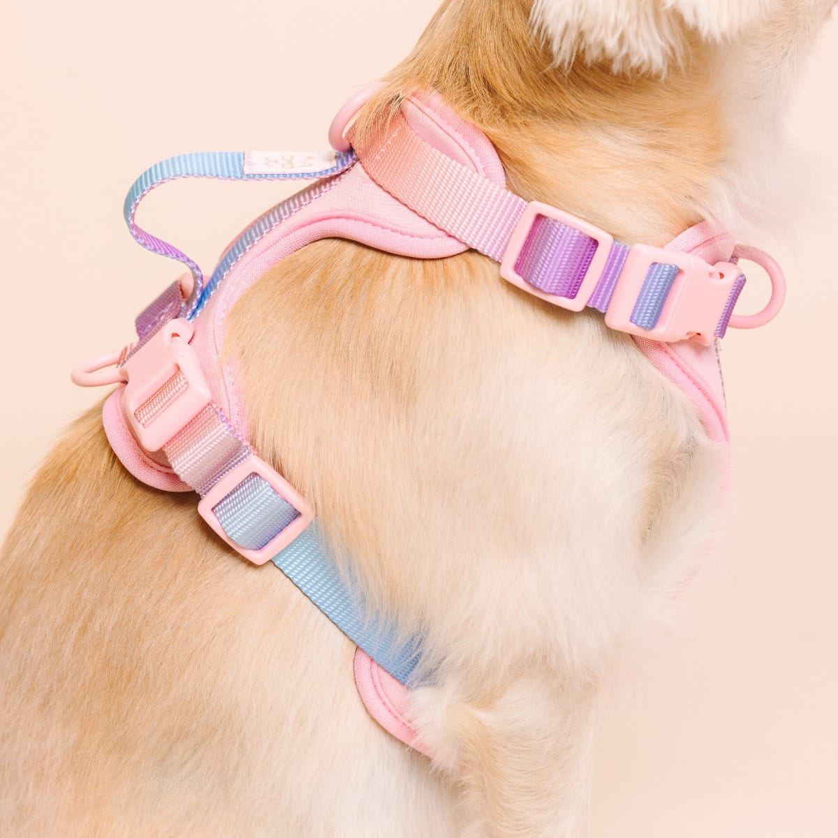 Diem Dog Harness