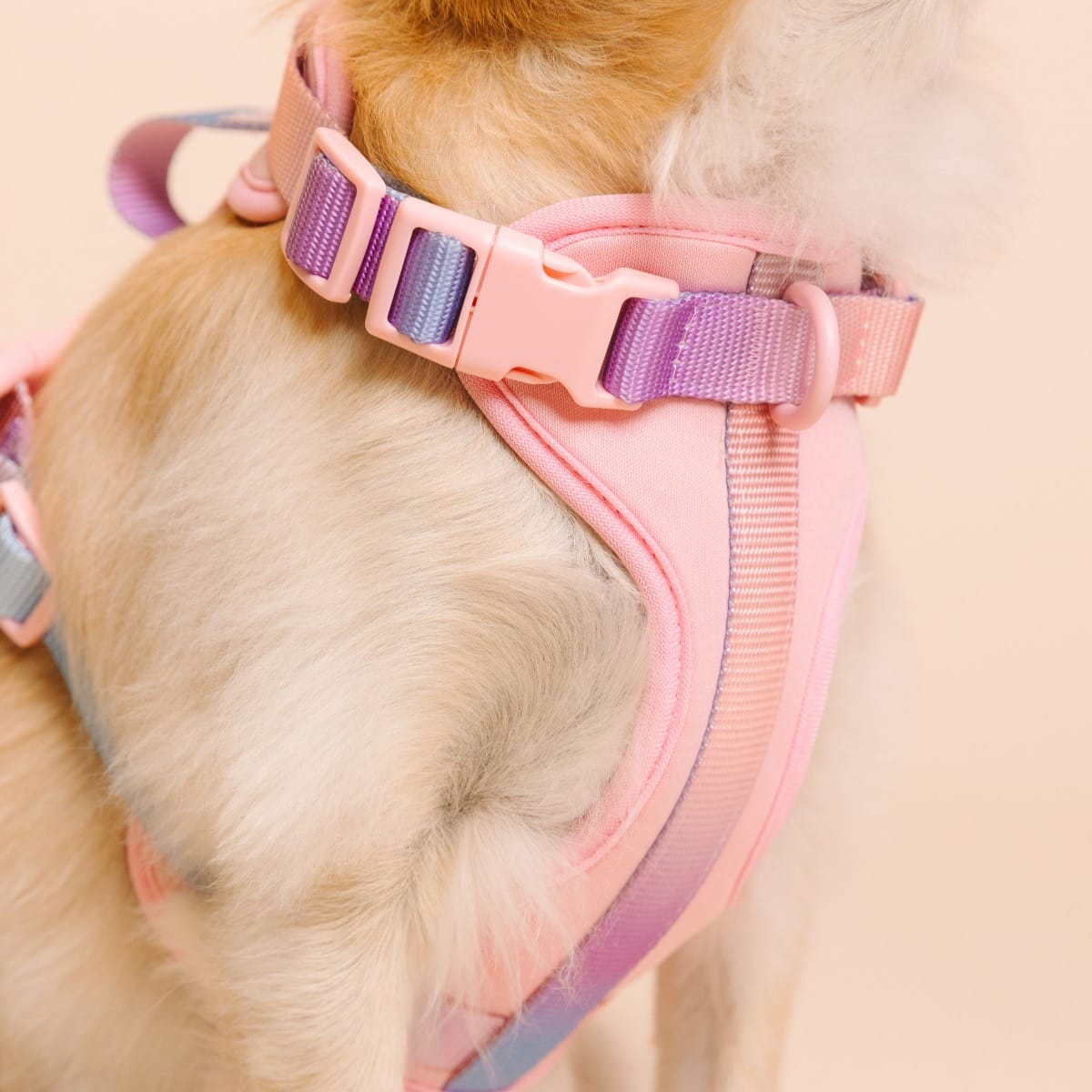 Diem Dog Harness
