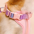 Load image into Gallery viewer, Diem Dog Harness

