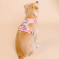 Load image into Gallery viewer, Diem Dog Harness
