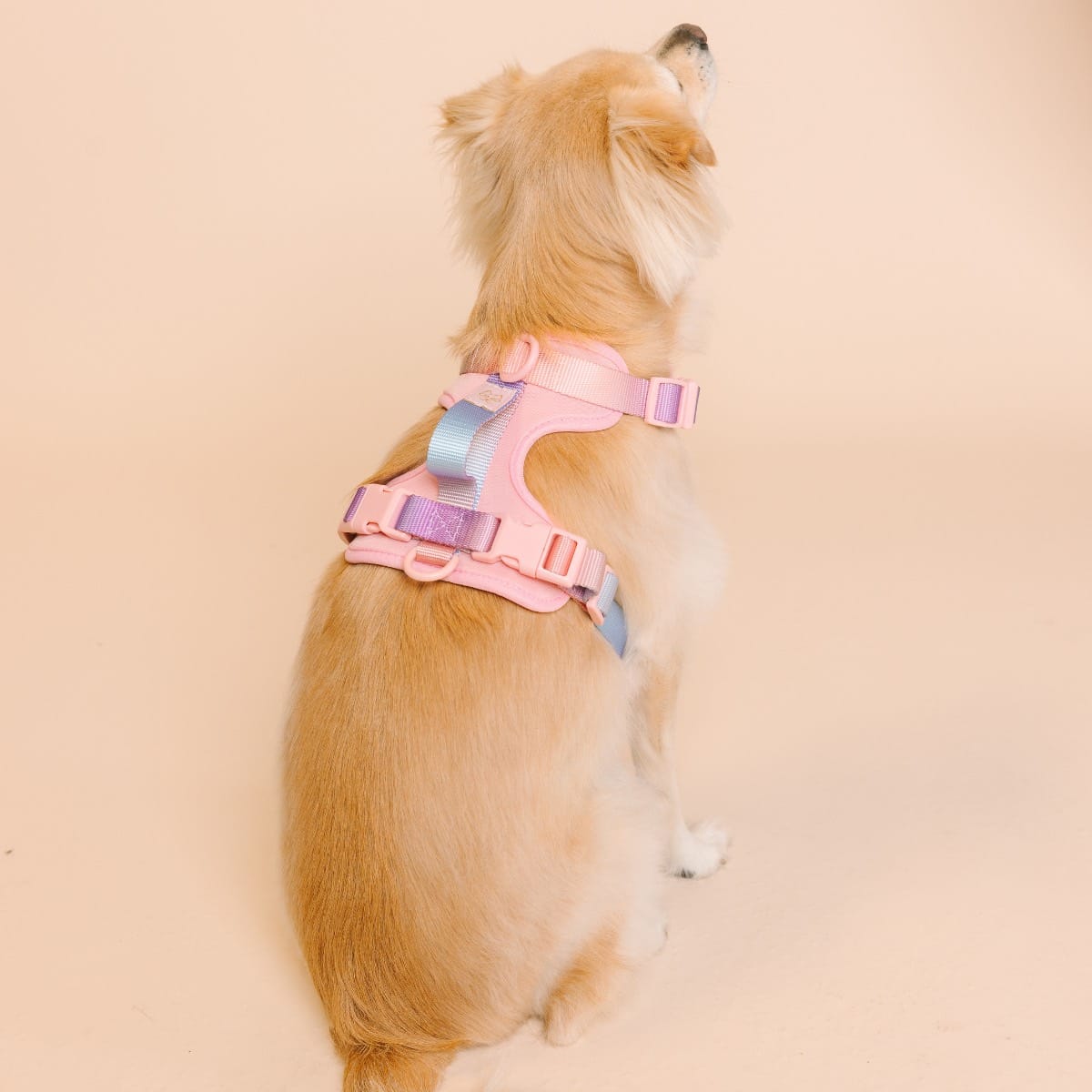 Diem Dog Harness