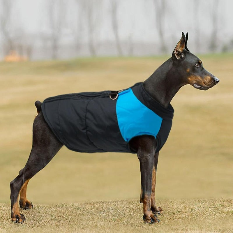 Big Buddy Waterproof Winter Dog Vest - Southlake Paws