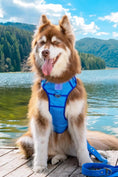 Load image into Gallery viewer, Dockside Adventures Ultimate Harness - Southlake Paws
