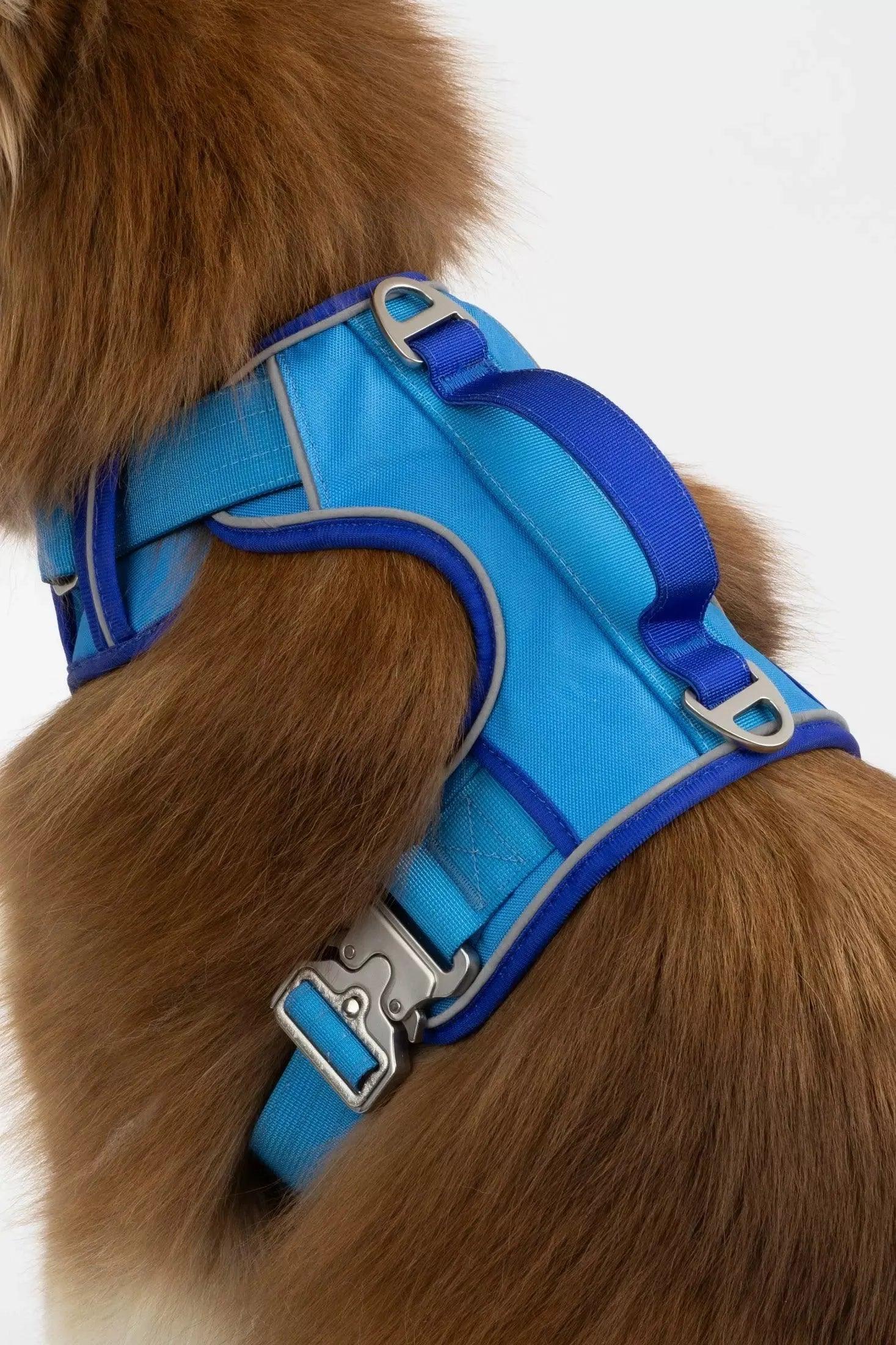 Dockside Adventures Ultimate Harness - Southlake Paws