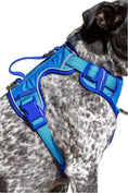 Load image into Gallery viewer, Dockside Adventures Ultimate Harness - Southlake Paws
