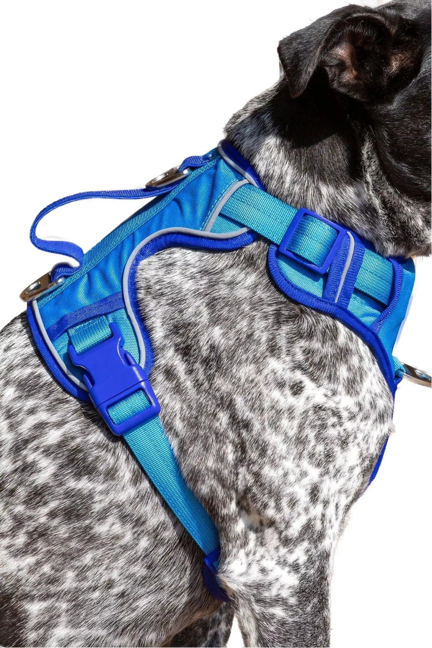 Dockside Adventures Ultimate Harness - Southlake Paws