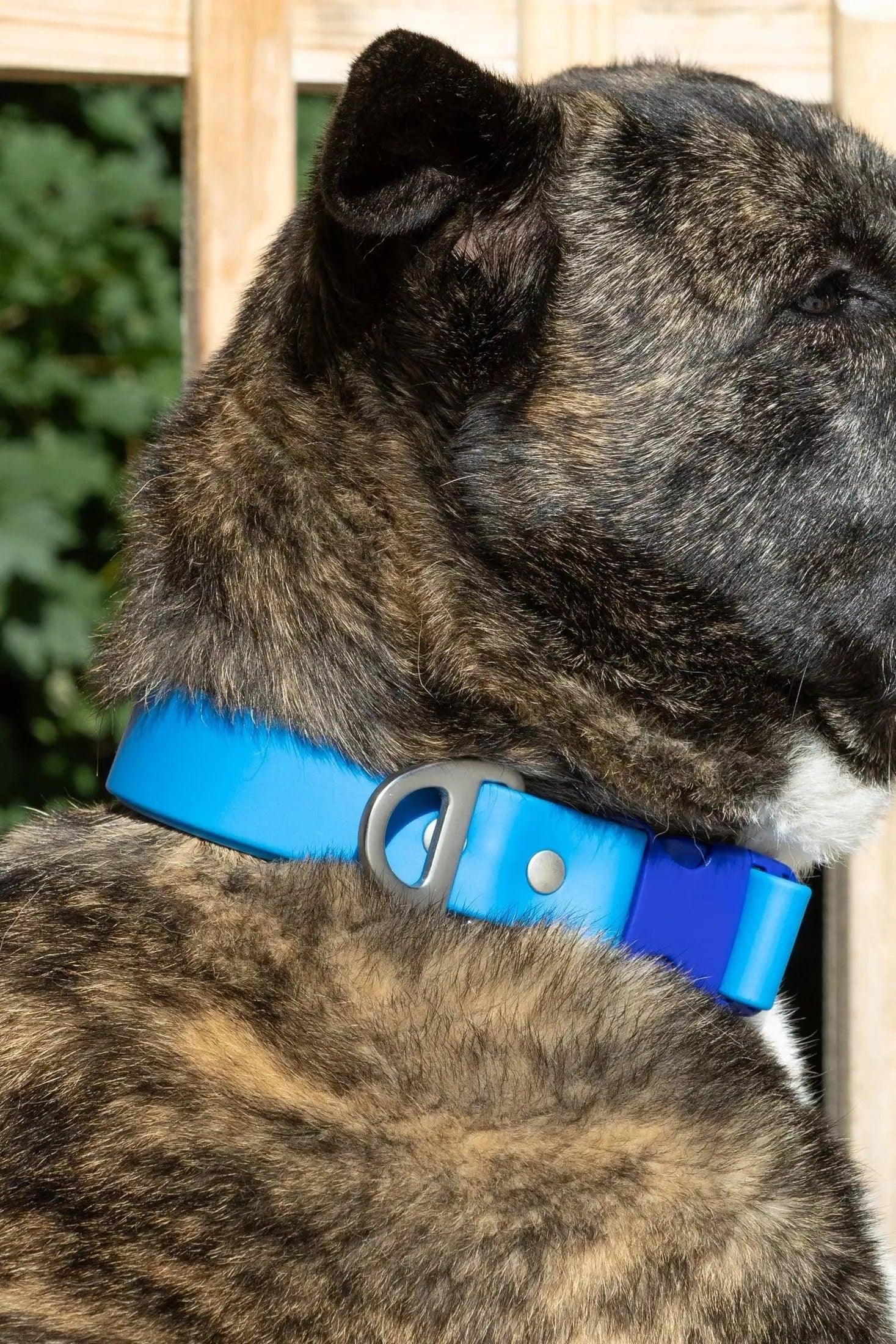 Dockside Adventures Waterproof Dog Collar - Southlake Paws