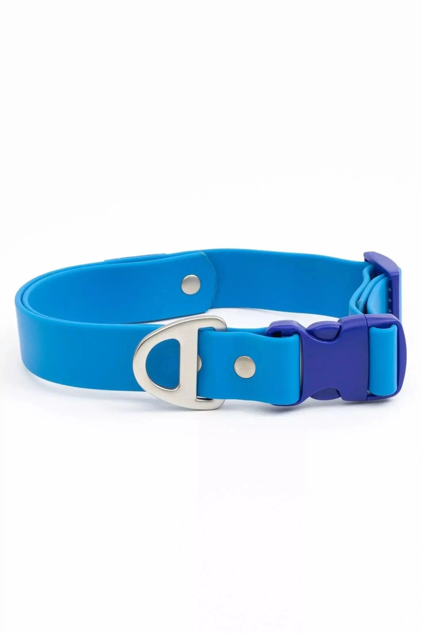 Dockside Adventures Waterproof Dog Collar - Southlake Paws