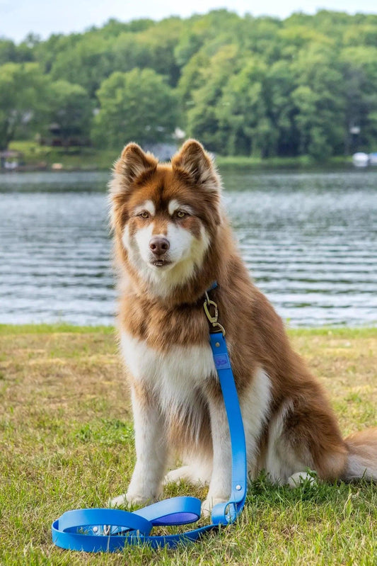 Dockside Adventures Waterproof Dog Leash - Southlake Paws