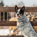 Howdy Dog Collar