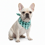Bandana Dog 