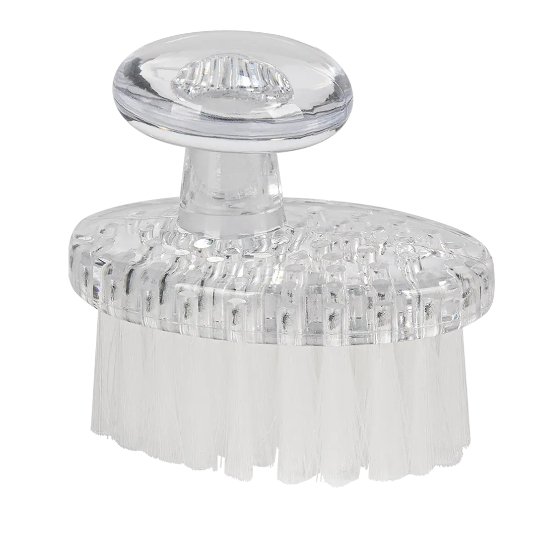  professional dog grooming tool Southlake Paws