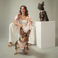 Load image into Gallery viewer, 3-in-1 City Dog Leash - Madison
